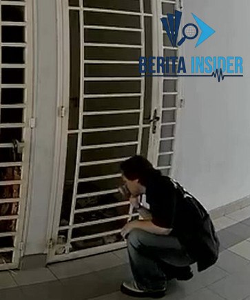 Video Thumbnail 1