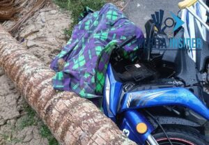 Motosikal dinaiki calon spm dihempap pokok kelapa tumbang di jalan tepi sawah bachok kelantan