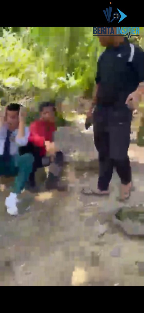Video Thumbnail 1