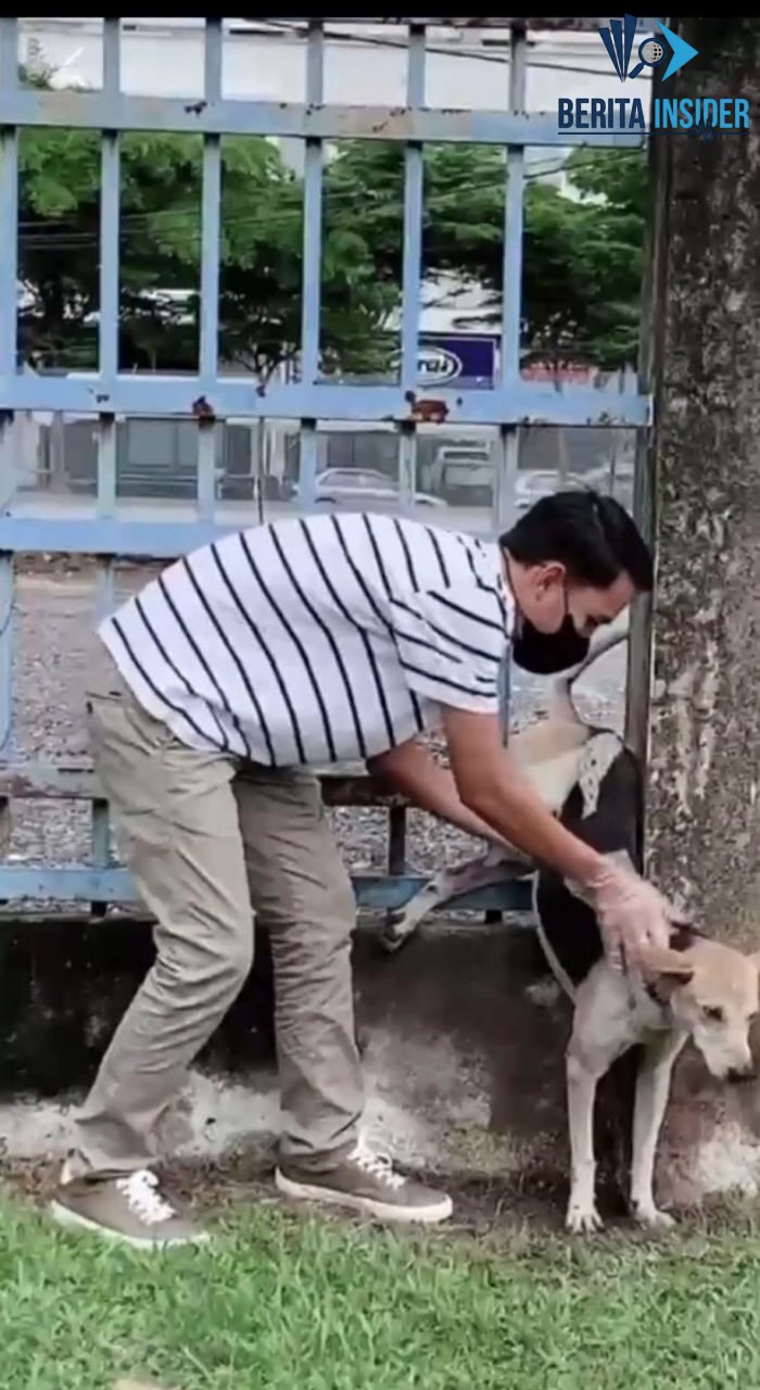 Video Thumbnail 1